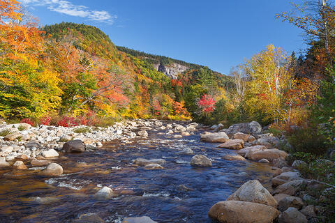 Autumn Sun on Swift River