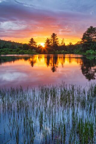 Fire In The Sky Sunset Grass, Coffin Pond