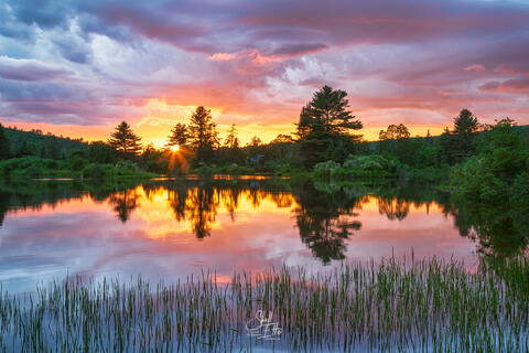 Fire In The Sky Sunset Grass, Coffin Pond
