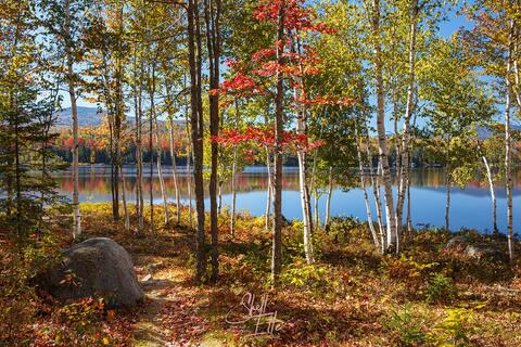 Jericho Lake Woods Path