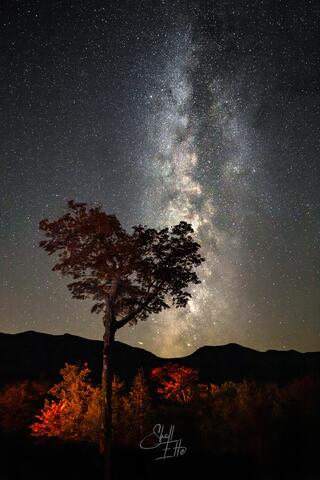 Milky Way rising above the heart tree and scar ridge on the Kancamagus Hwy in Lincoln, NH