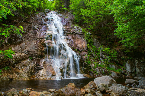 Nancy Cascades in summer