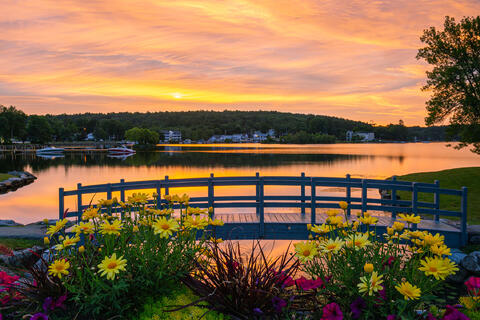 Sunrise Flowers Meredith Bay