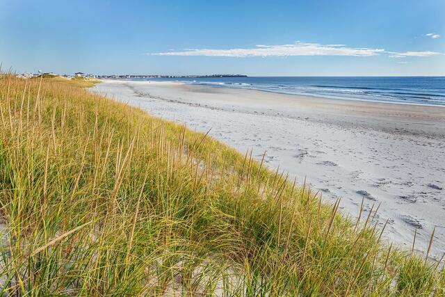 A stretch of grassy sand dunes at Hampton Beach State Park. 