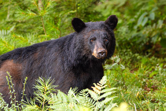 Wildlife Moments Photography