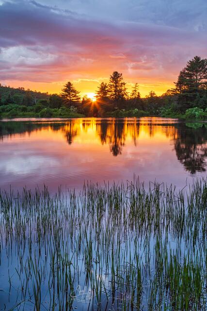Fire In The Sky Sunset Grass, Coffin Pond