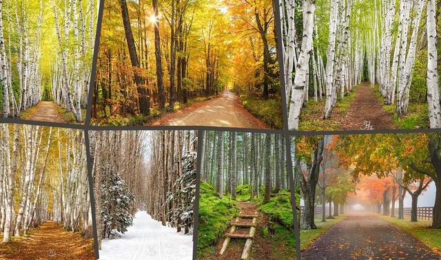  Trails and Scenic Roads