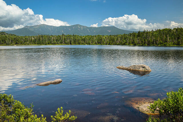 Lonesome Lake Summer