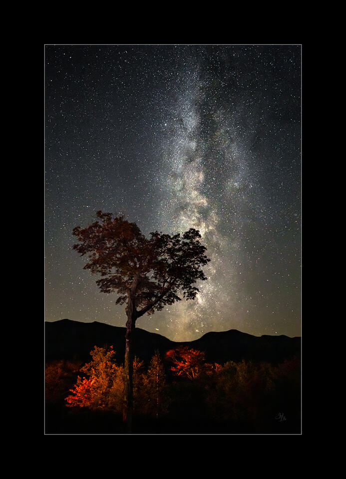 Matted Print for your own framing.