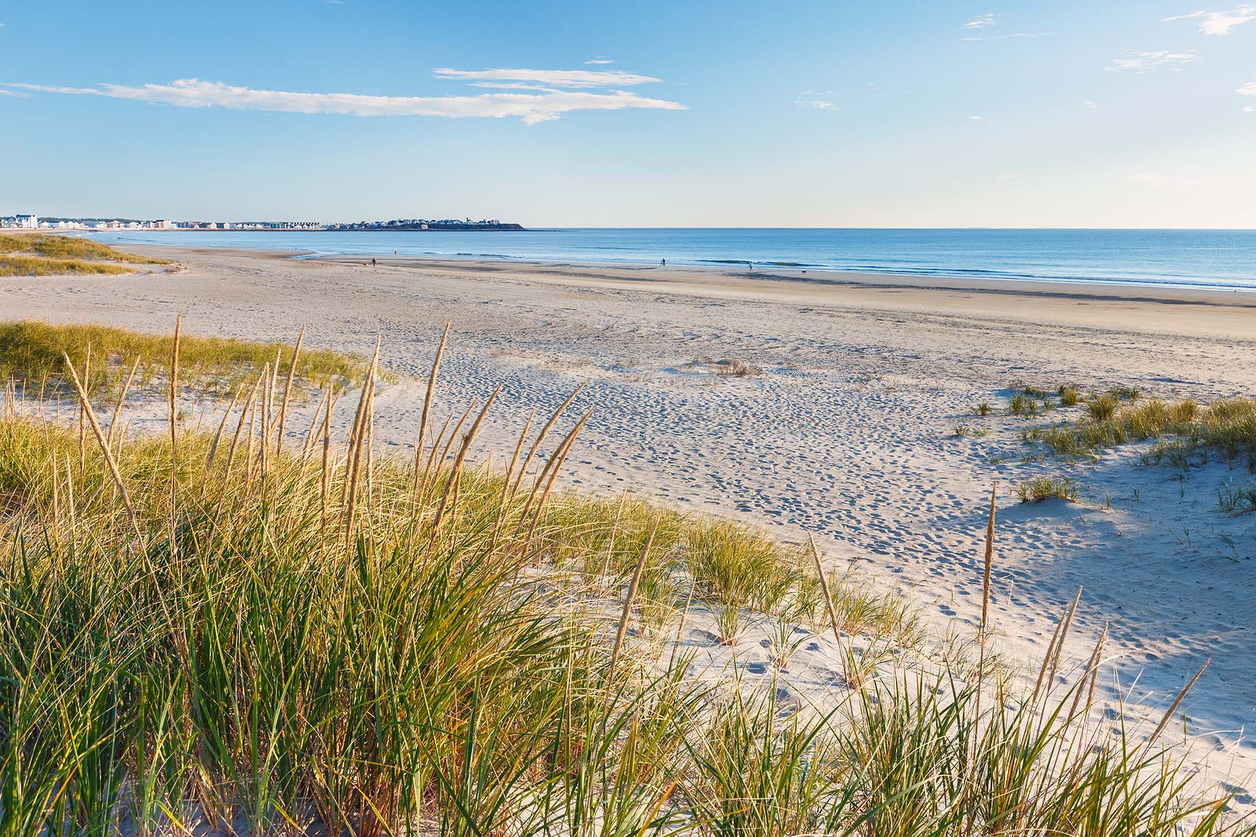 Dune Walk, Hampton Beach State Park Sand dunes and tall wavy grass at Hampton Beach State Park.