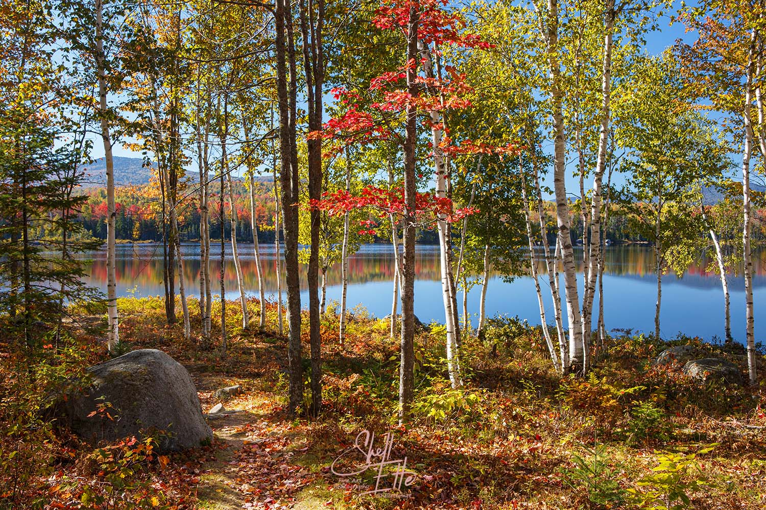 Jericho Lake Woods Path Jericho Lake Woods Path