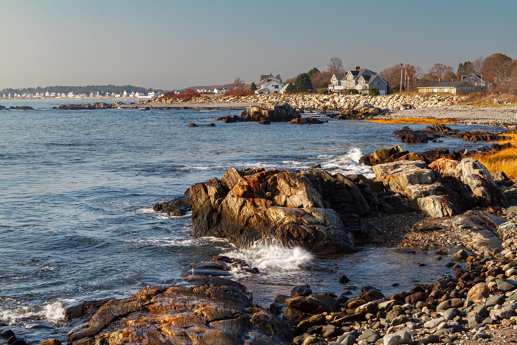 Rocky Morning Shore, Rye Rocky shore with autumn grasses on the coast of Rye, NH