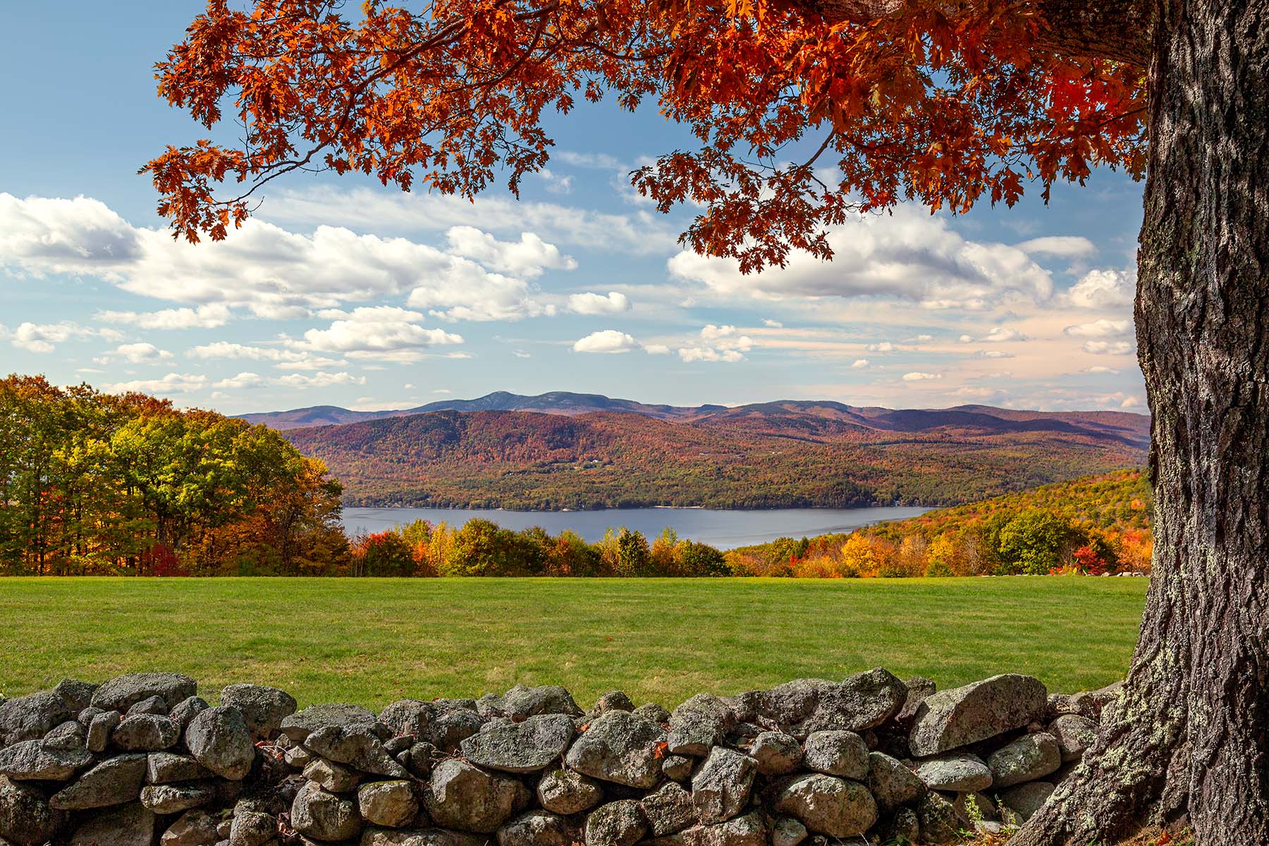Stone Oak Newfound Lake newfound lake, nh new england, stone wall, oak tree, autumn, mountains, field, fall,