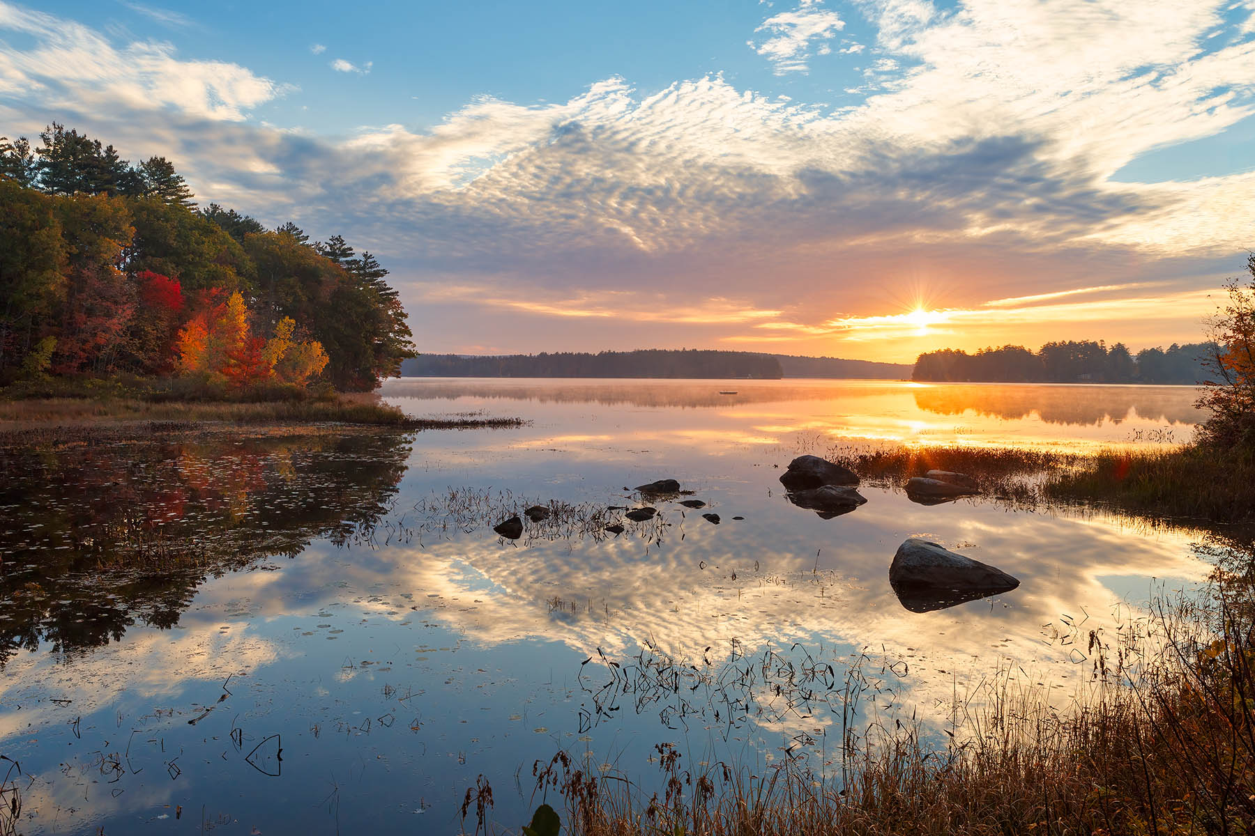 Sweet Maple Autumn Sunrise, Lake Waukewan Sweet Maple Autumn Sunrise, Lake Waukewan