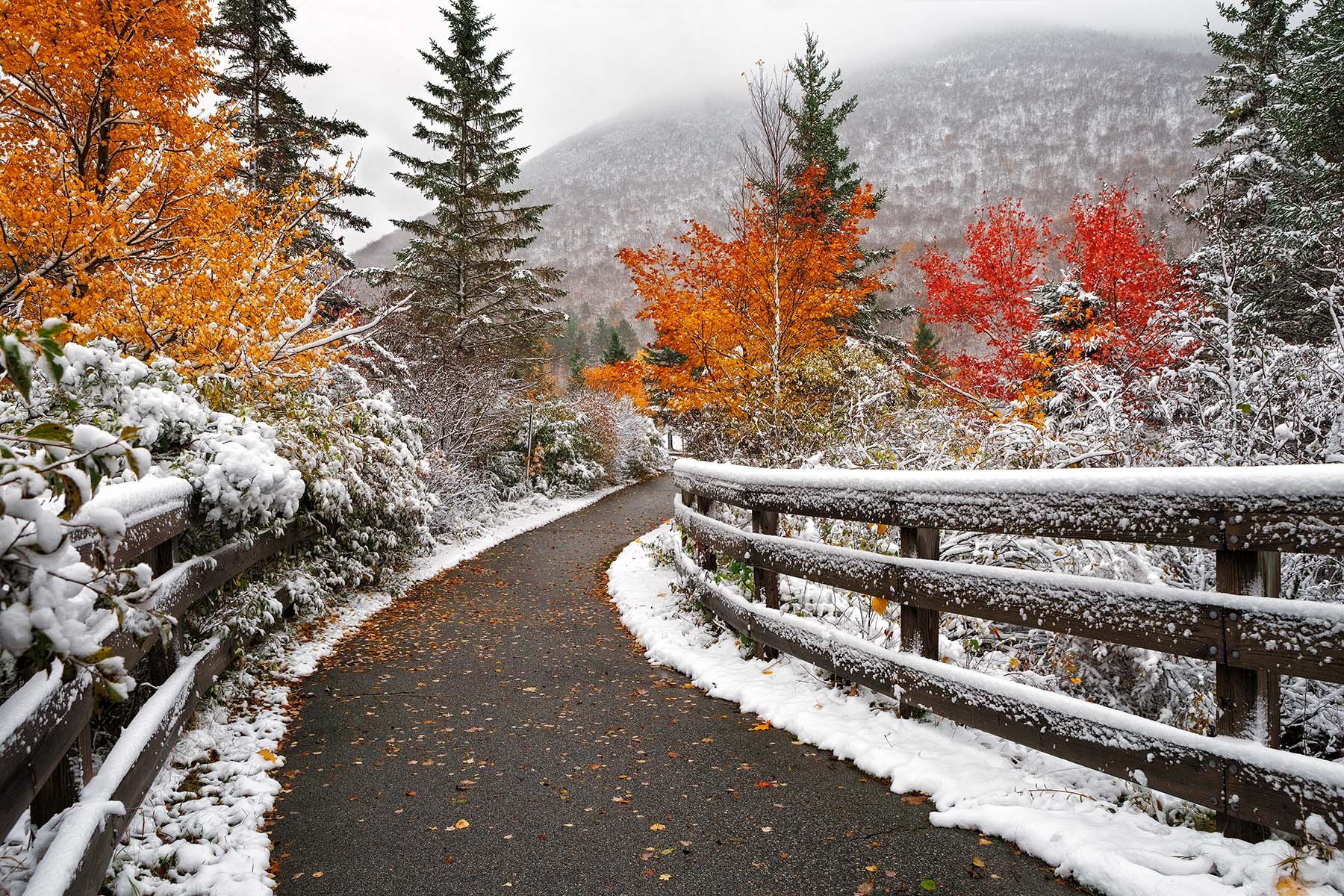 Winter Stroll Through Autumn The Franconia Notch bike path after during autumn with new fallen snow in the White Mountains.
